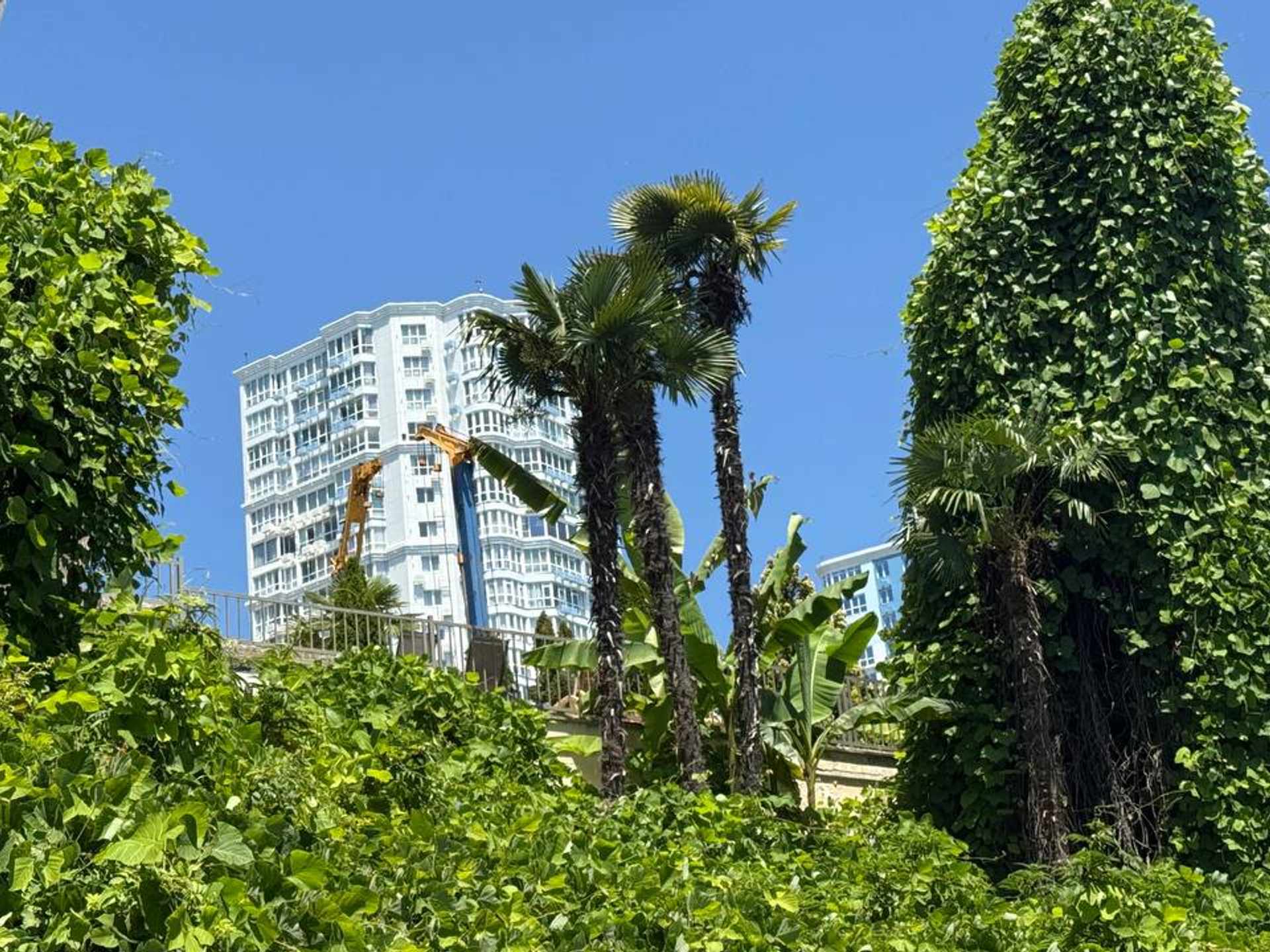 Изображение жк или квартиры № 24