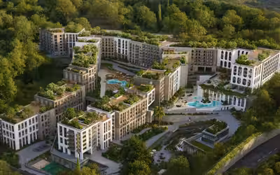 Sialia Cosmos Selection