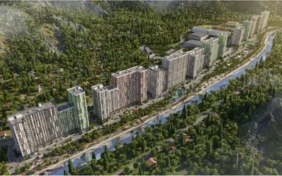 Светский Лес